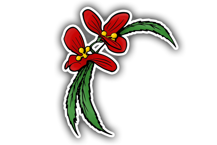 Sticker fleur de noël